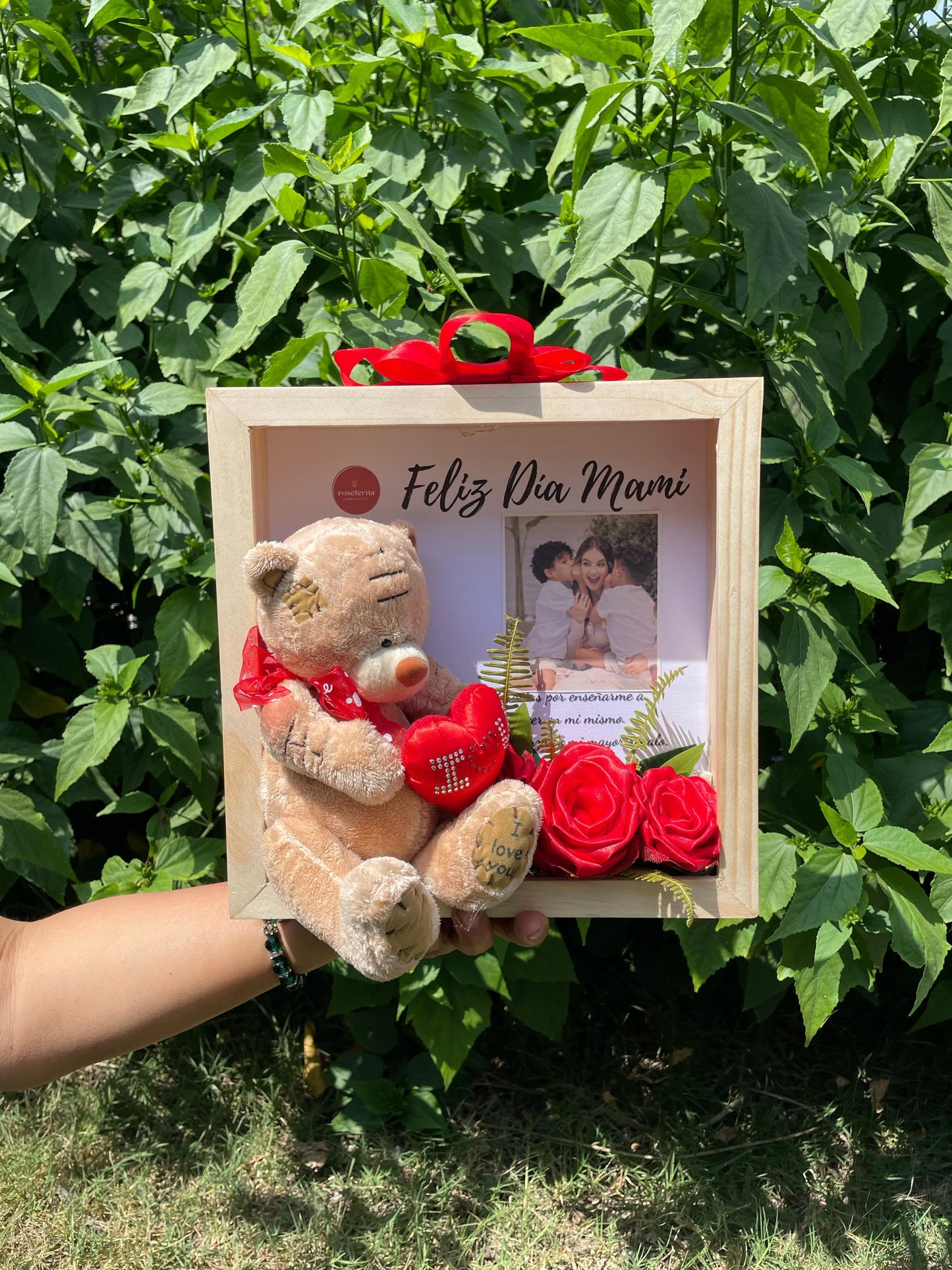 SET TEDDY